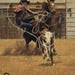 Used lariat rope, used cowboy ropes, ropes for crafts,lasso