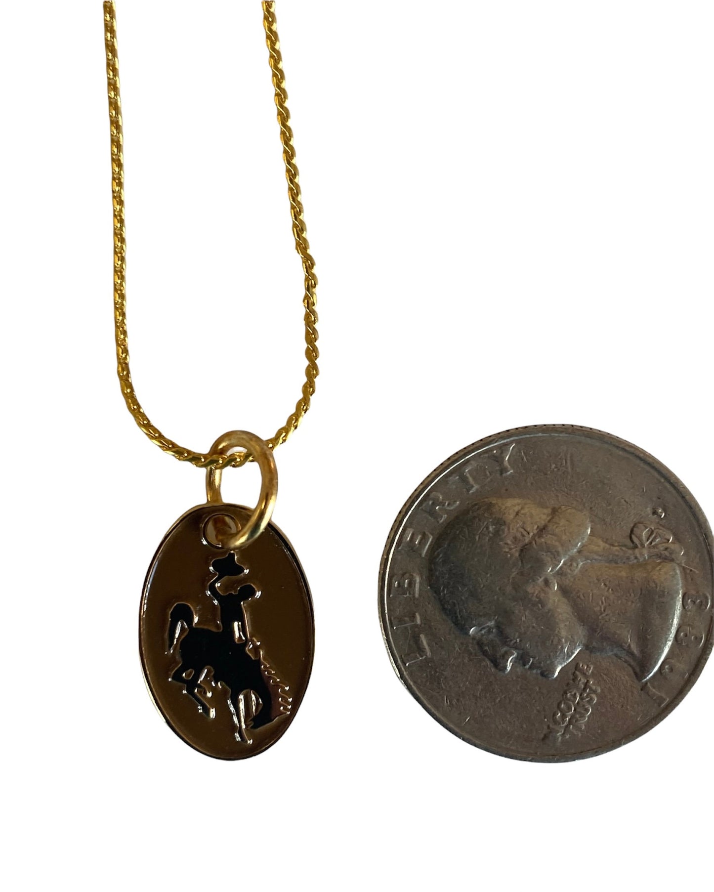 Steamboat necklace#brown n gold#UWYO#WYO#bucking horse