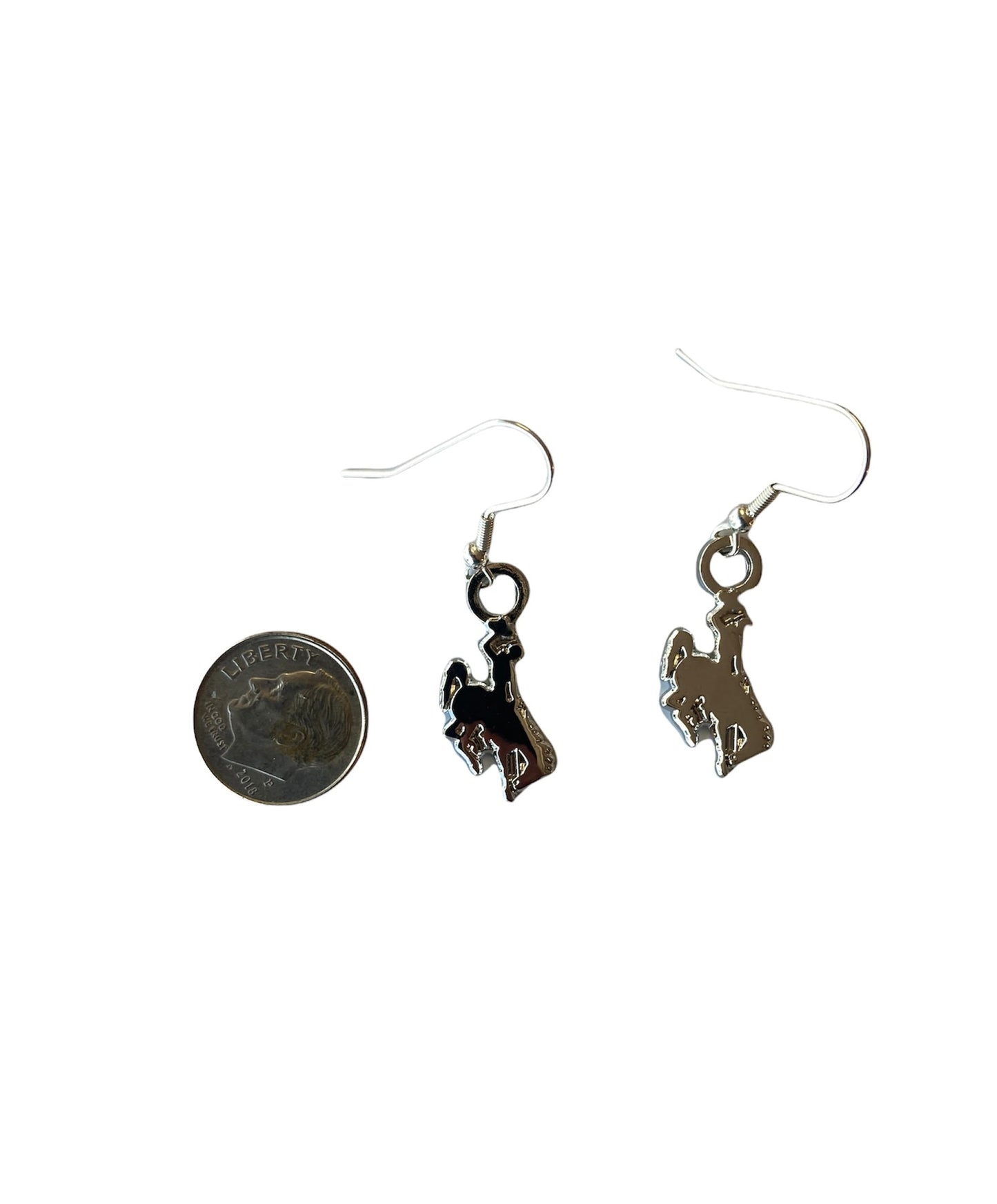 Licensed Wyoming Steamboat Earrings#UWYO#Wyo#UW#brown and Gold