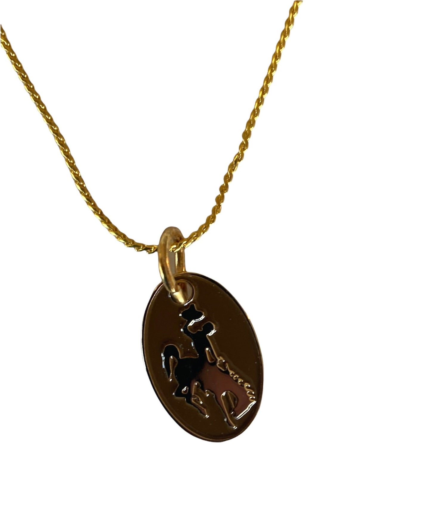 Steamboat necklace#brown n gold#UWYO#WYO#bucking horse