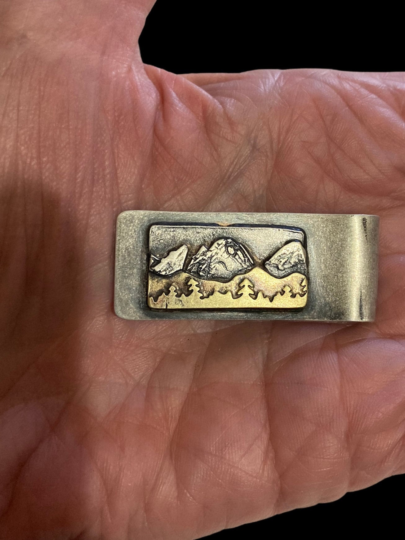 Rustic mountains money clip