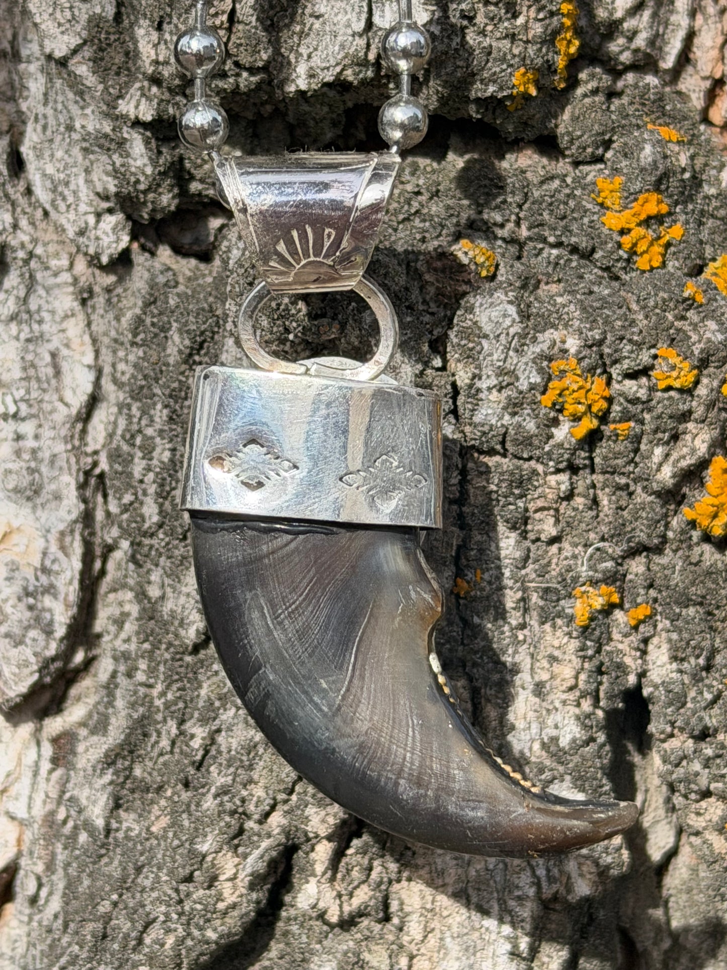 Bear Claw Pendant