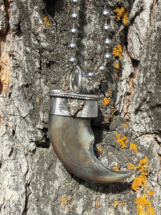 Bear Claw with Sonoran Turquoise Pendant