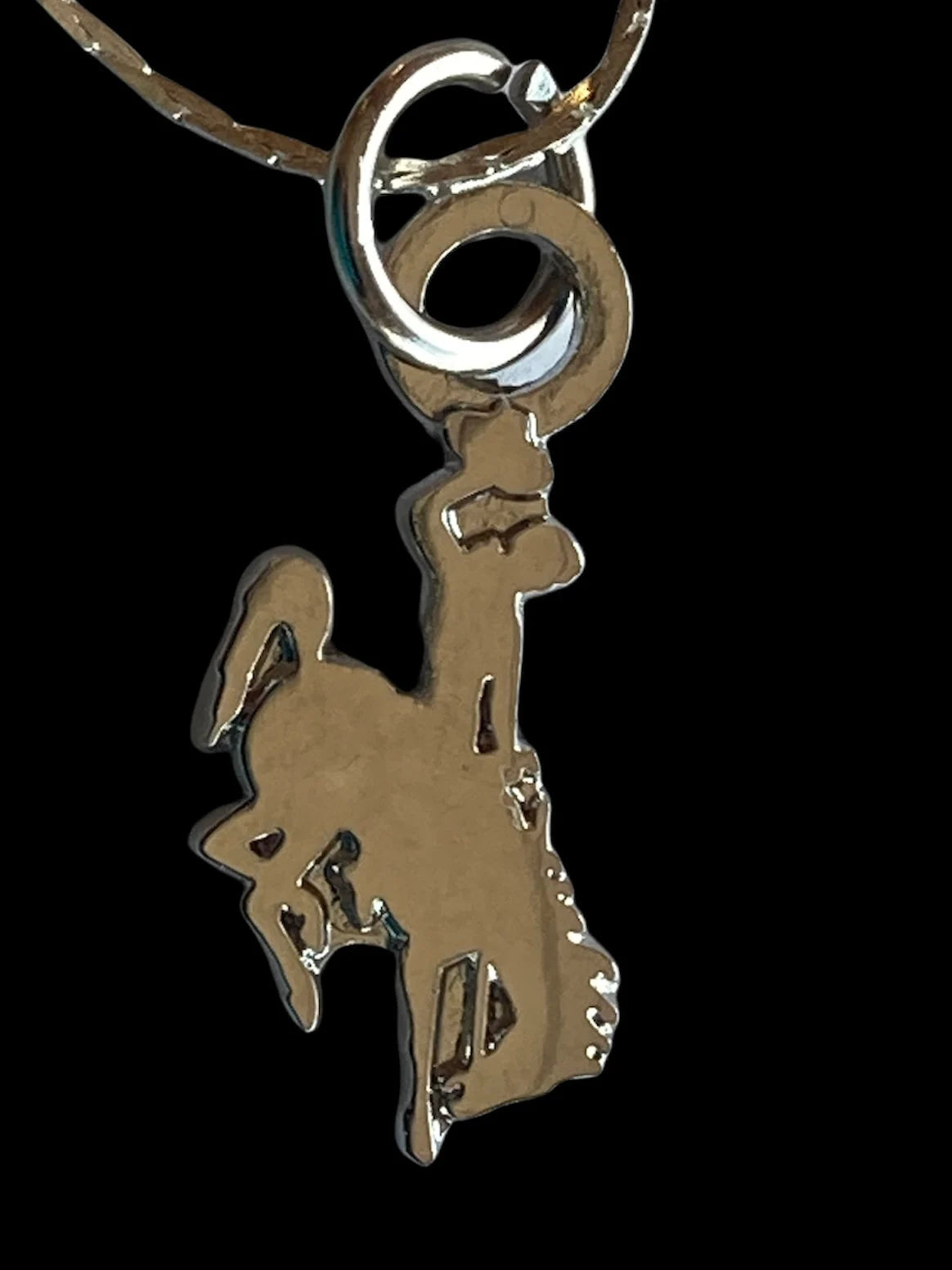 Steamboat necklace#brown n gold#UWYO#WYO#bucking horse (Copy)