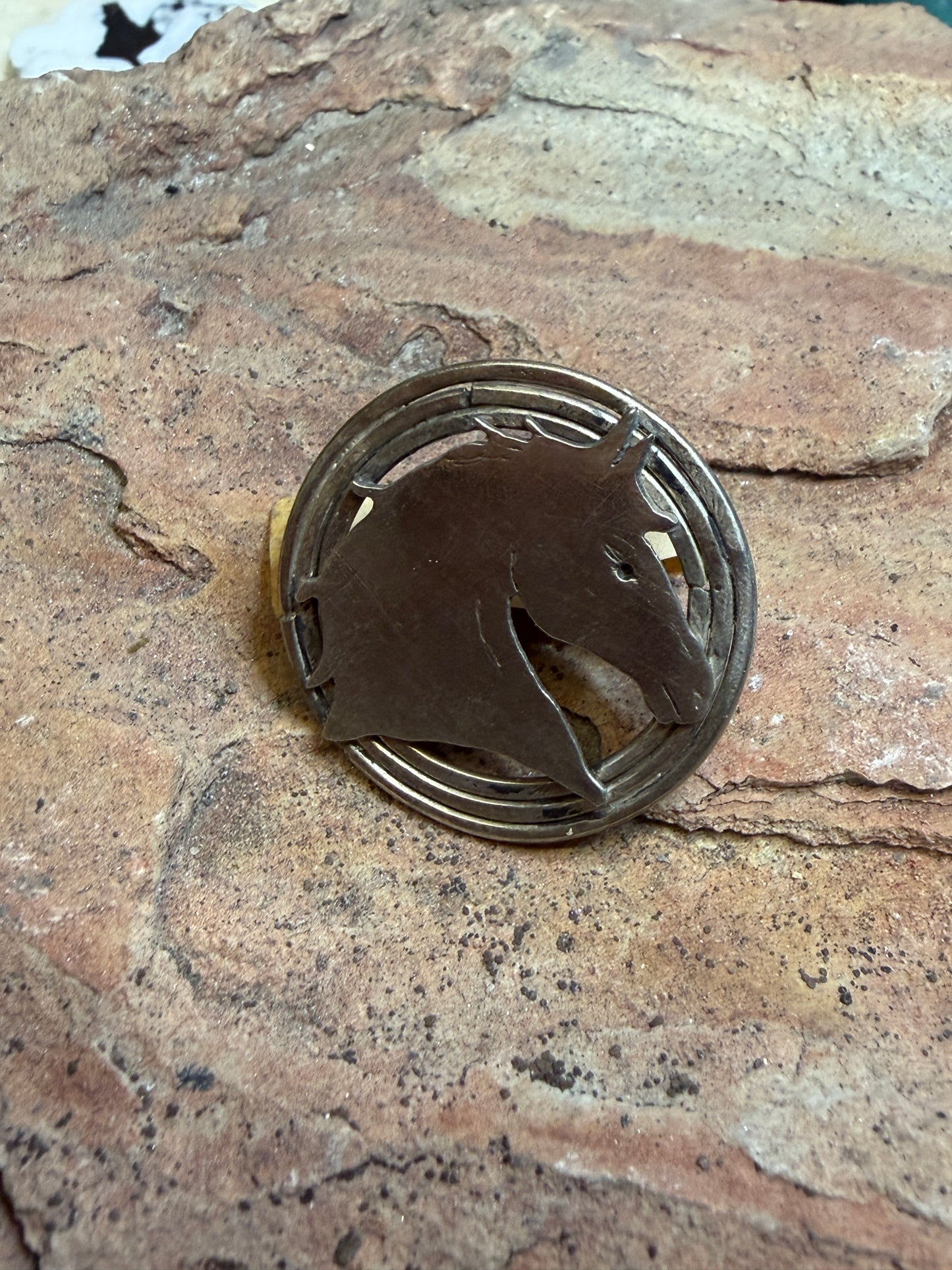 Horse head scarf slide