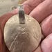 Hand-Forged Sterling Silver Horse Pendant, Western Equestrian Jewelry, Cowgirl Necklace, Handmade Wyoming Silversmith Gift