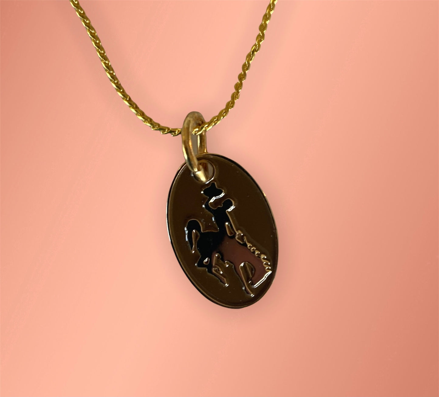 Steamboat necklace#brown n gold#UWYO#WYO#bucking horse
