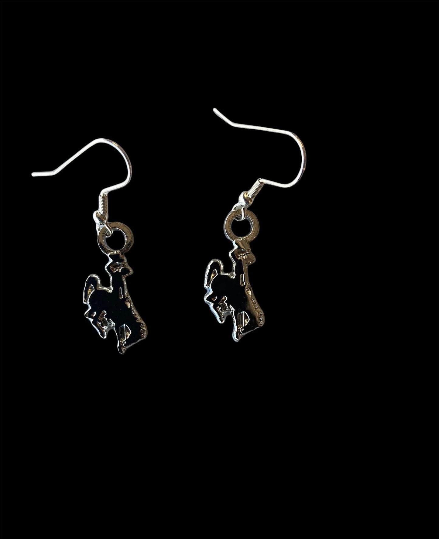 Licensed Wyoming Steamboat Earrings#UWYO#Wyo#UW#brown and Gold
